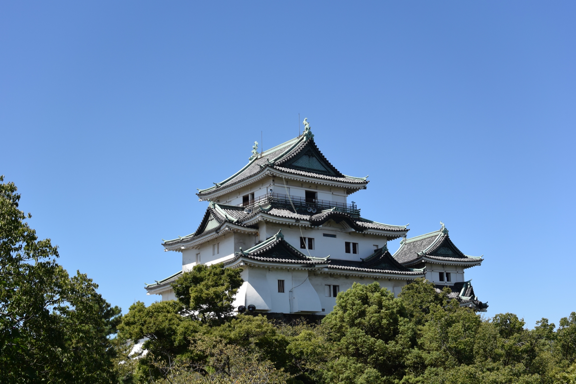 地域スポーツの様子